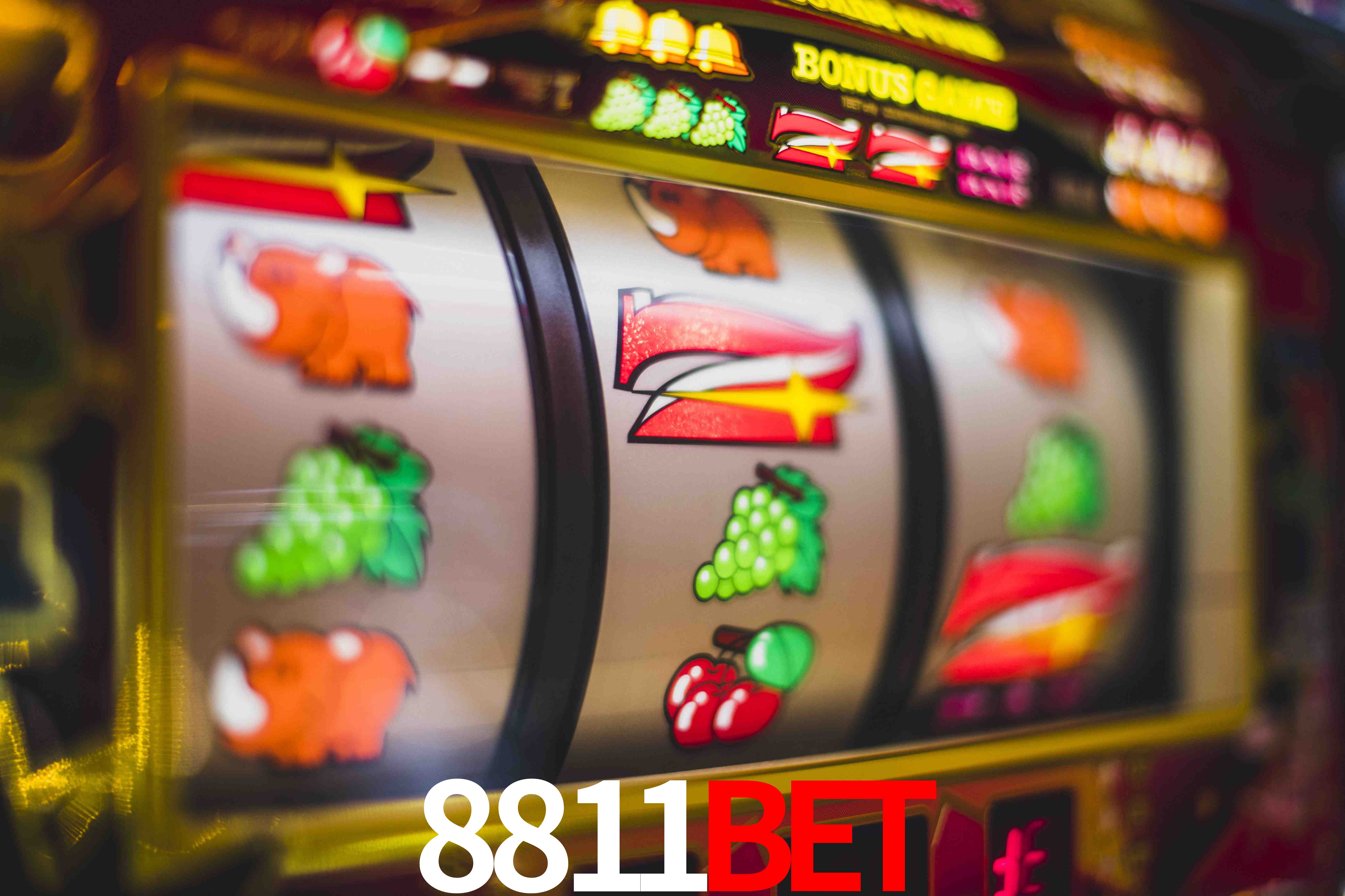 VIP Casino 8811bet